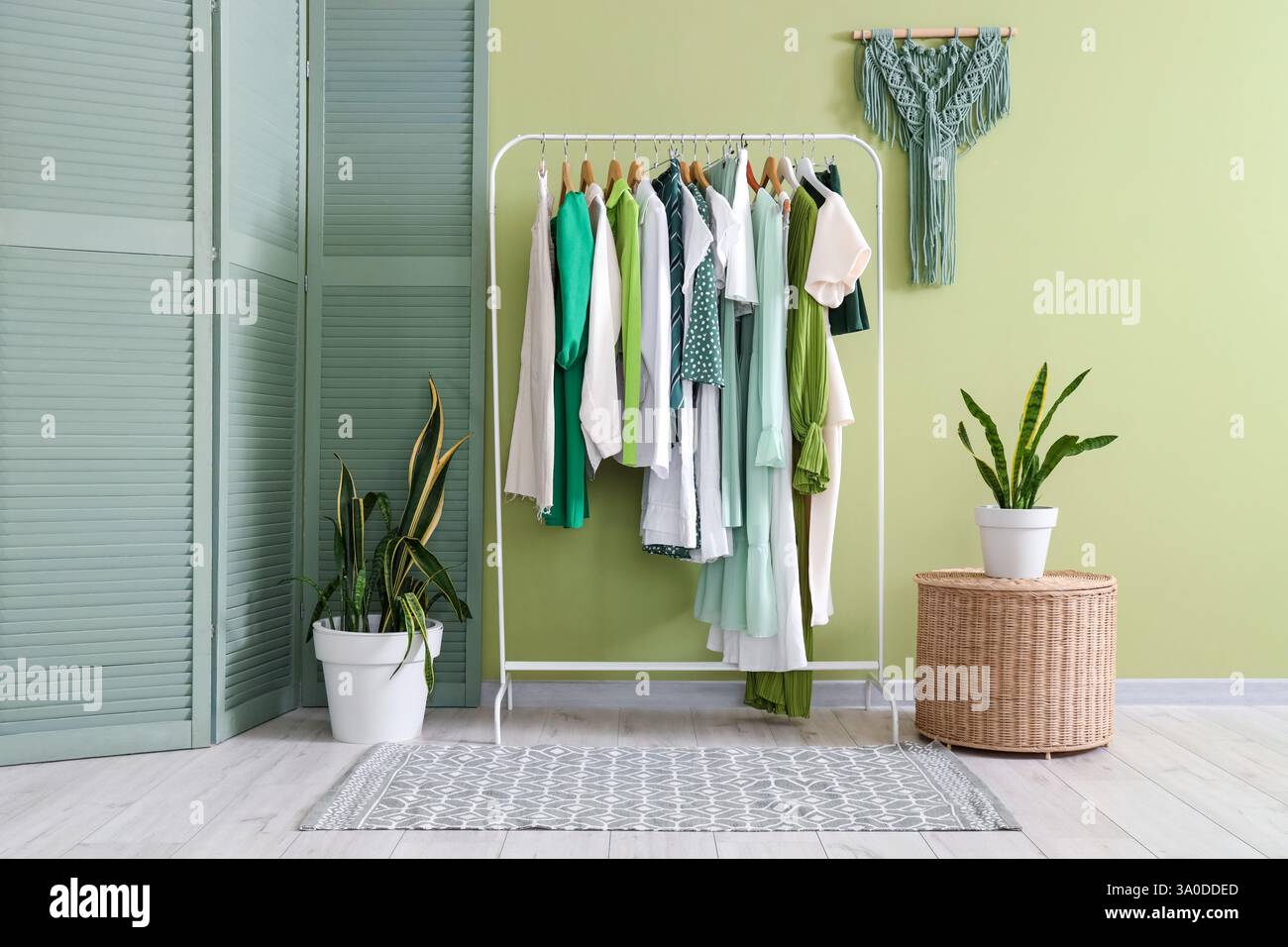 Interior of boutique with clothes rack, plants and green folding screen ...