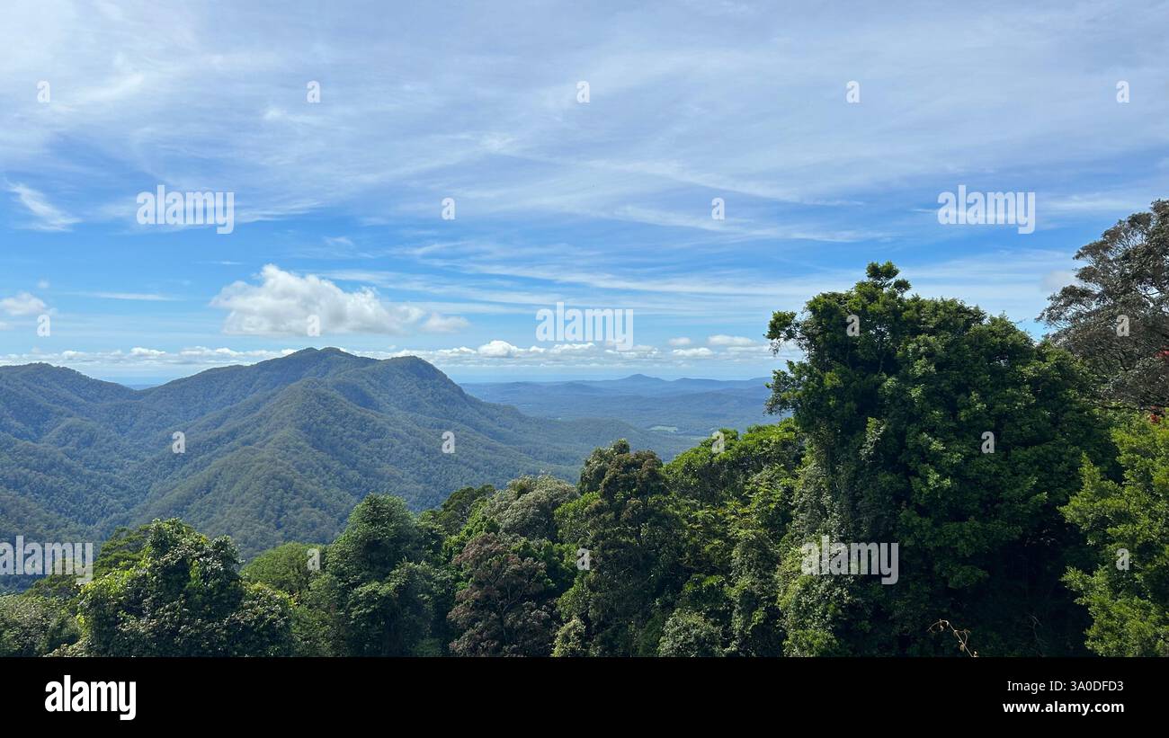 waterfall way, nsw - Smartphone Captured Stock Image