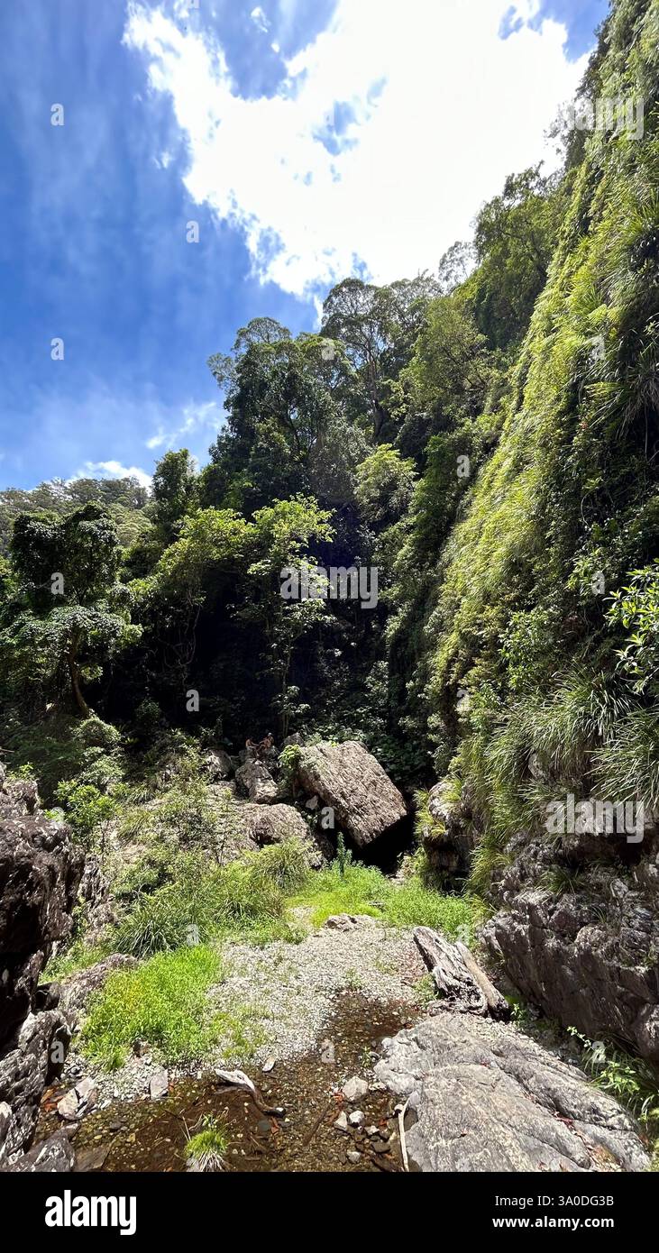 waterfall way, nsw - Smartphone Captured Stock Image