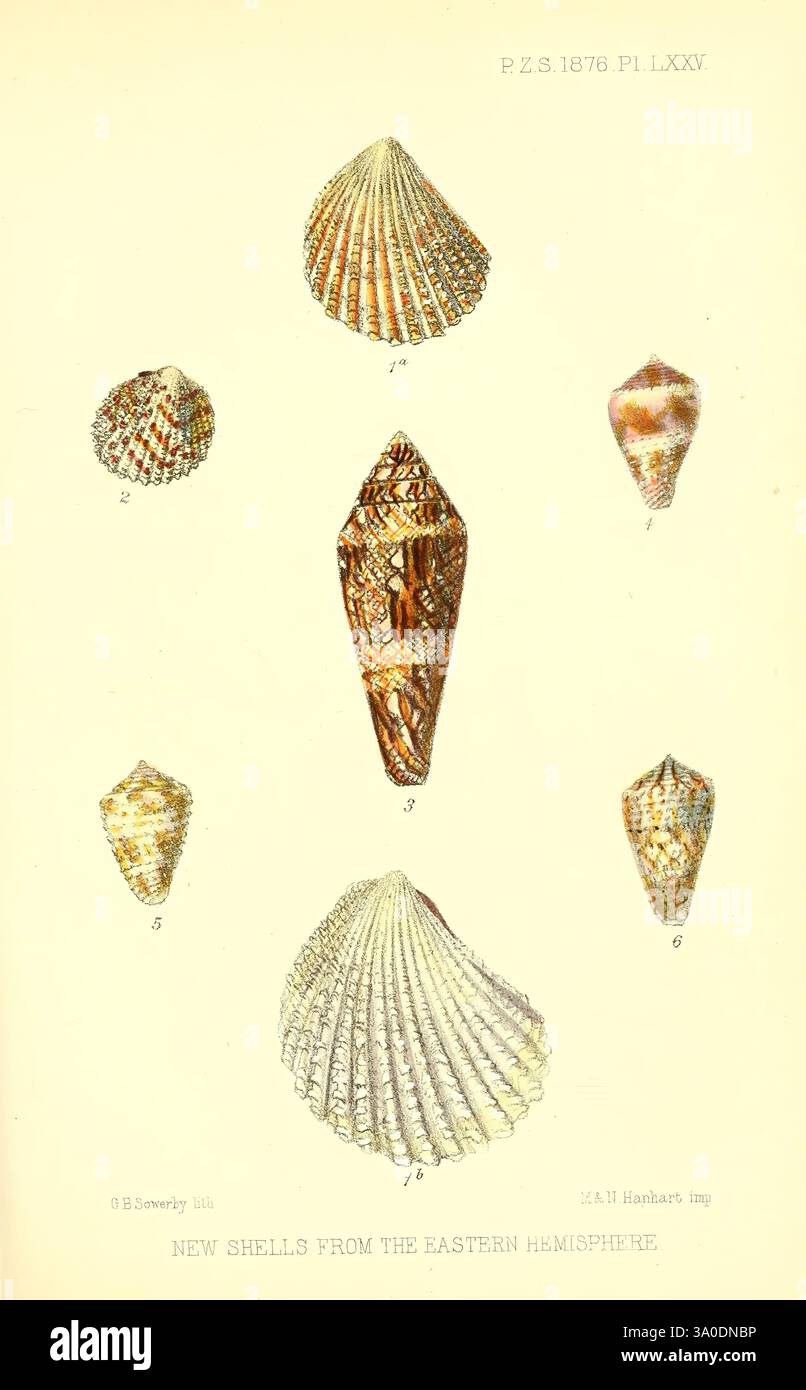 Proceedings of the Zoological Society of London, London, Academic Press ...