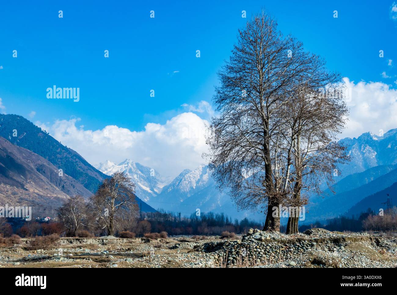 Snow capped mountains of Himalayas. Jammu and Kashmir, India. Stock Photo