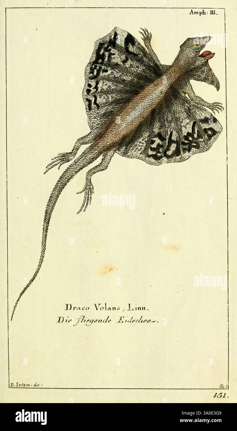 Gemeinnüzzige, Naturgeschichte, des, Thierreichs, bd, 4, plates, Berlin ...