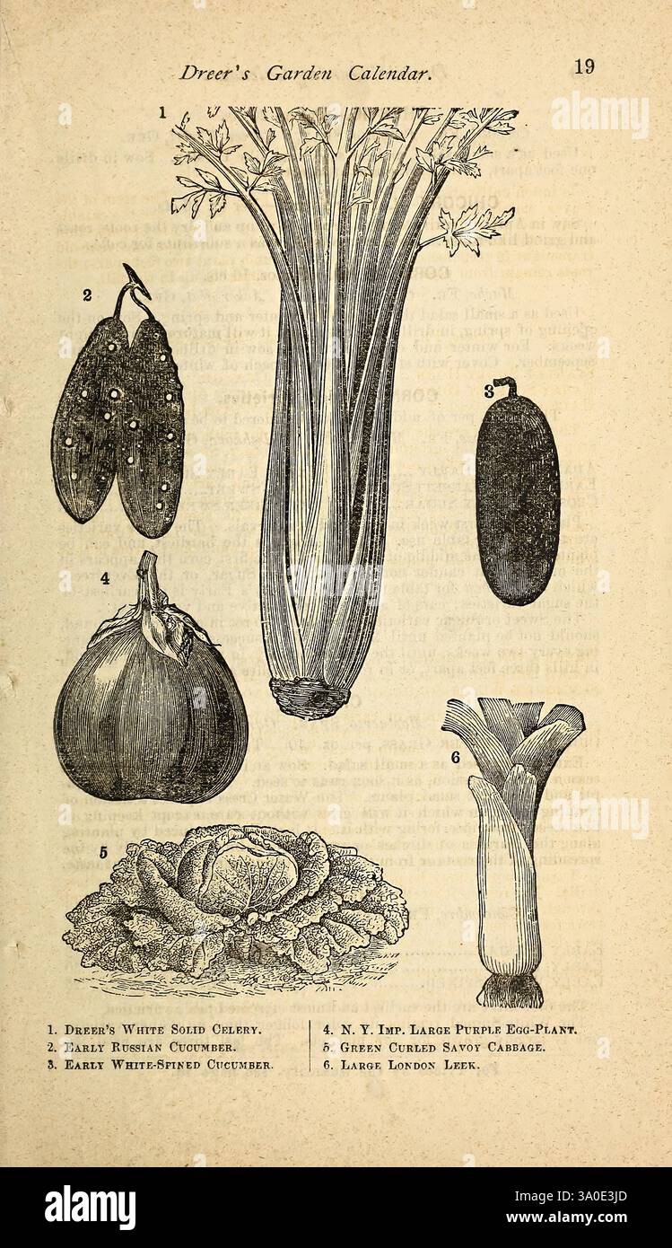 Top position features two hi res stock photography and images Alamy