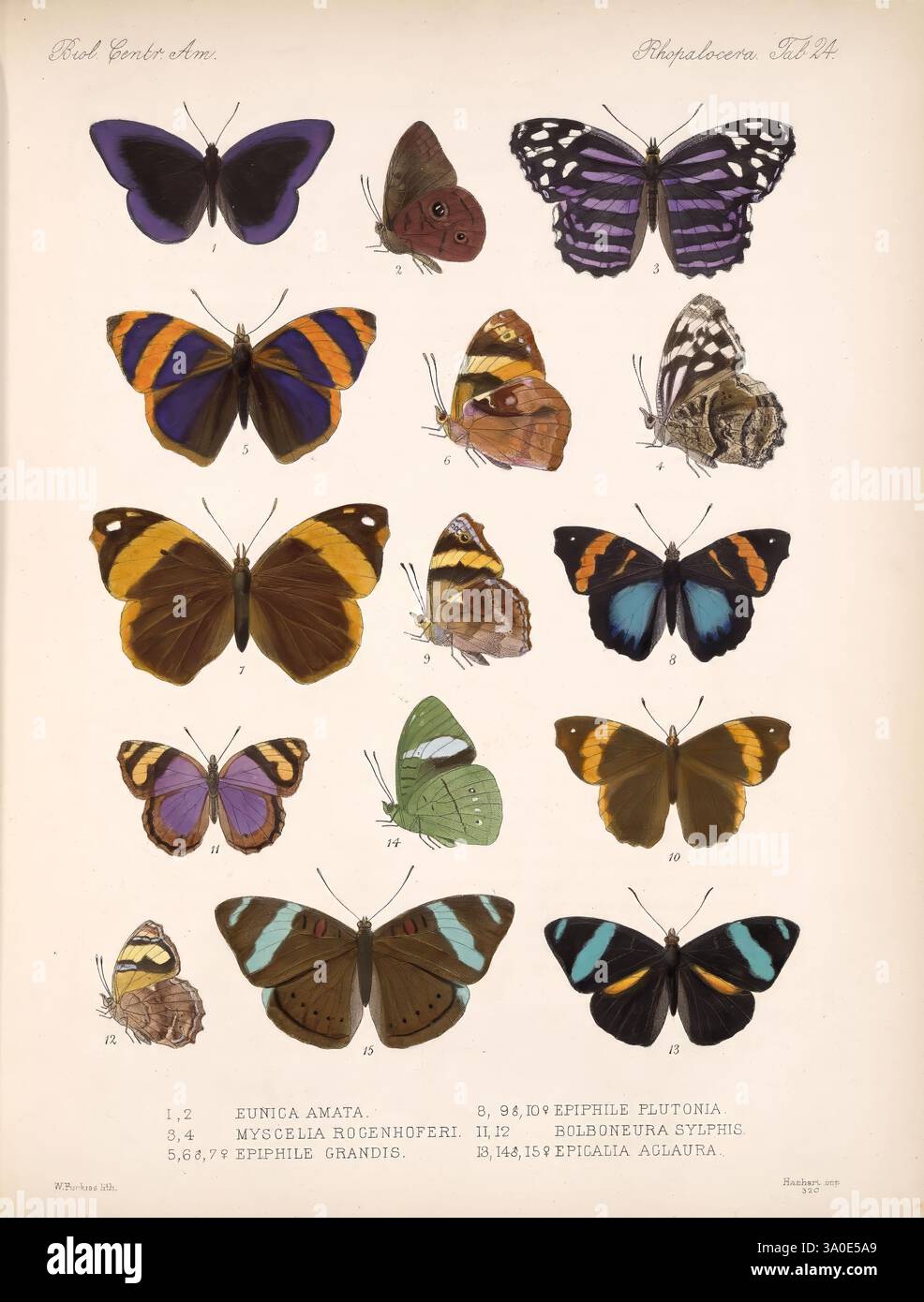 Predominantly dark tones hi-res stock photography and images - Alamy