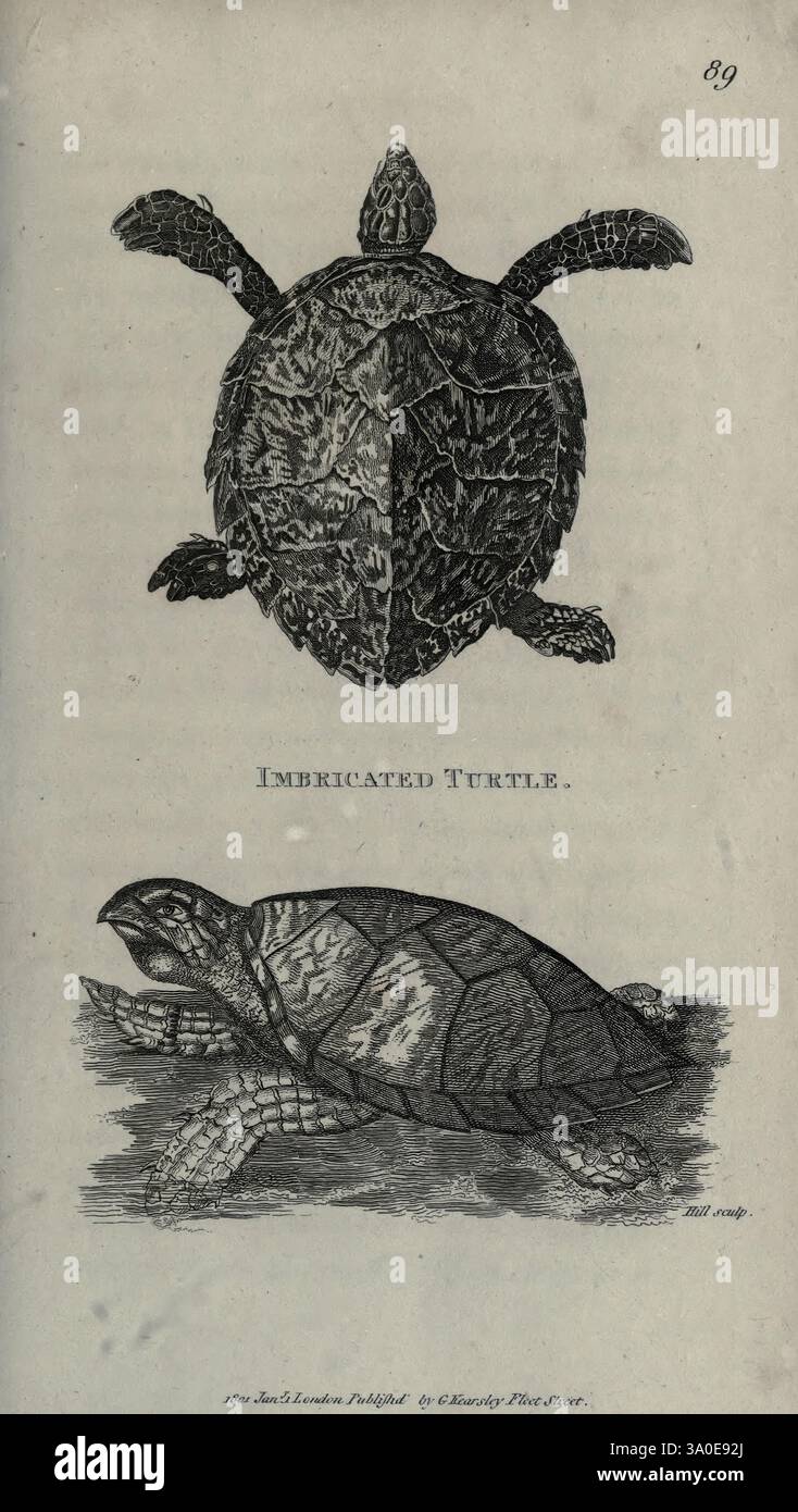 Zoological, lectures, delivered, at, the, Royal, Institution, London ...