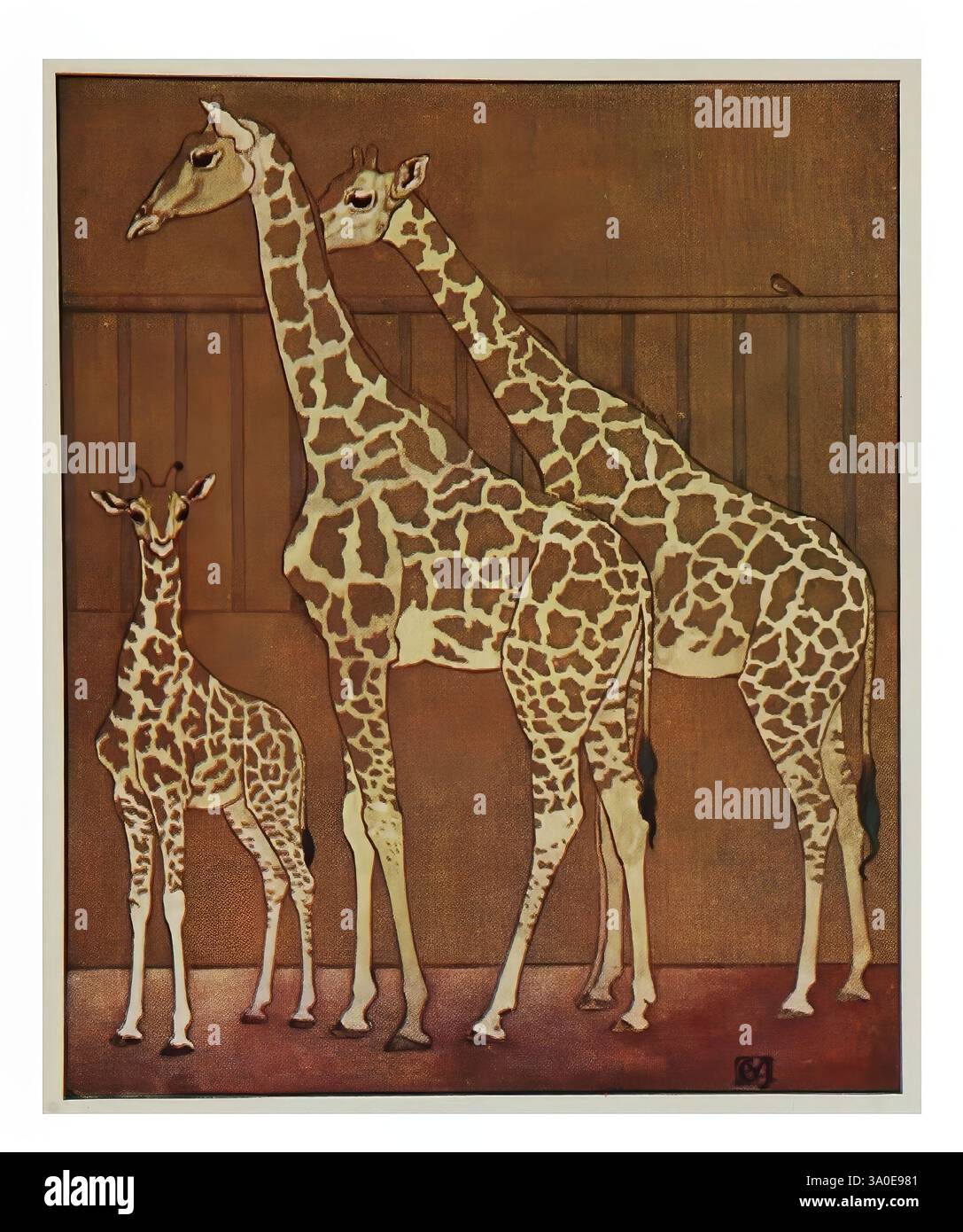 The childhood of animals, New York, 1912, animal behavior, A charming ...