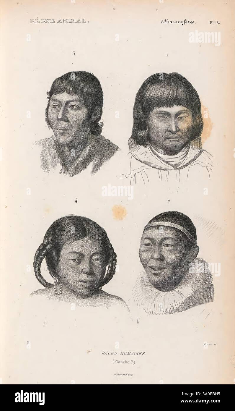 Showcasing unique facial features hi-res stock photography and images ...