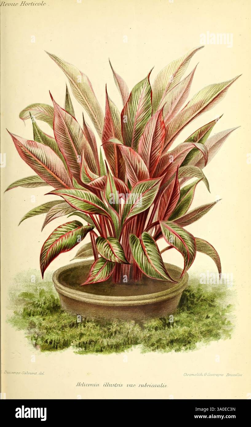 Épingle à Nourrice (pin's) Vintage Lalique Paris - Modèle Heliconia, Cristal, Occasion