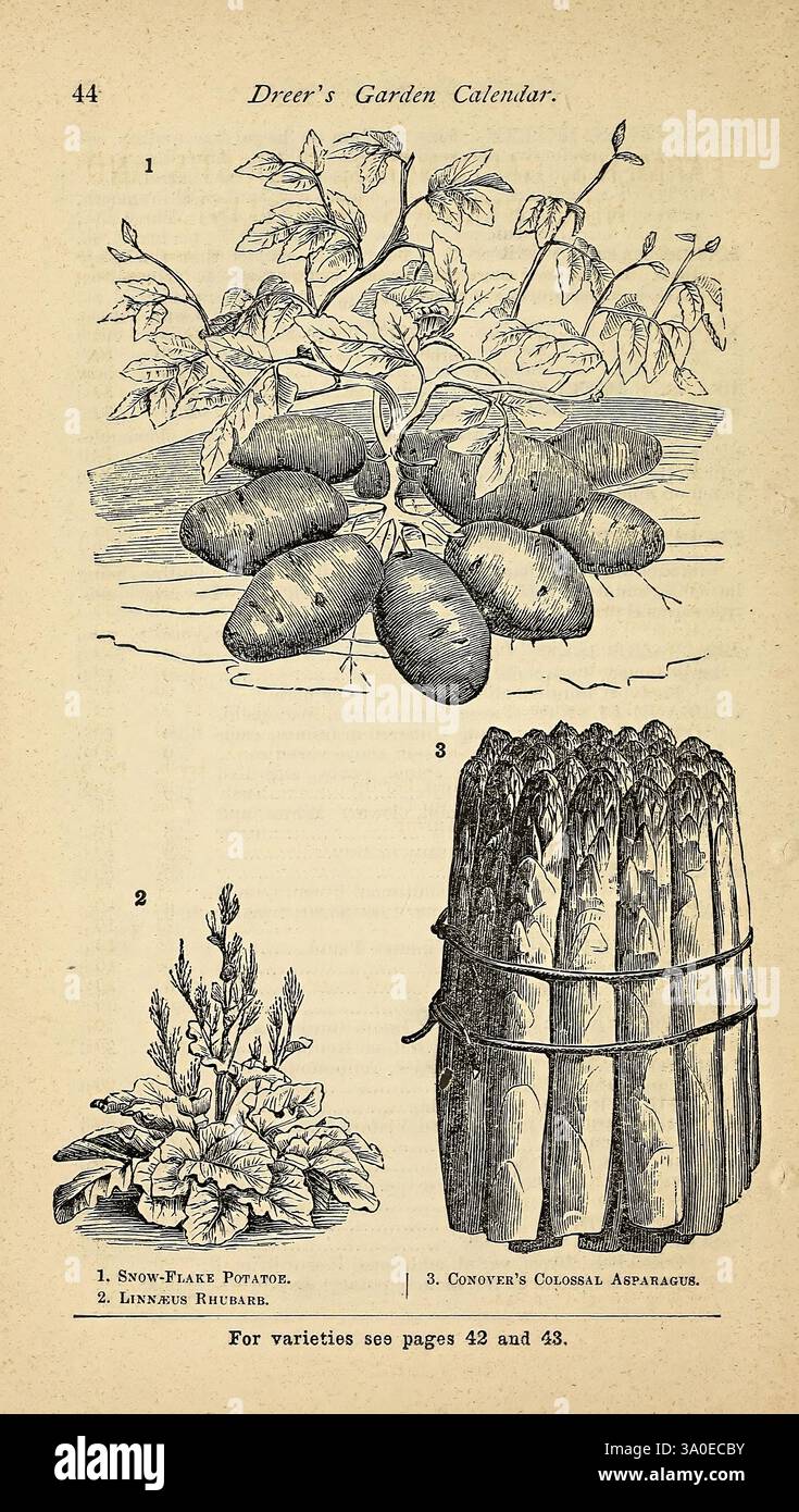 Relevance in gardening hires stock photography and images Alamy