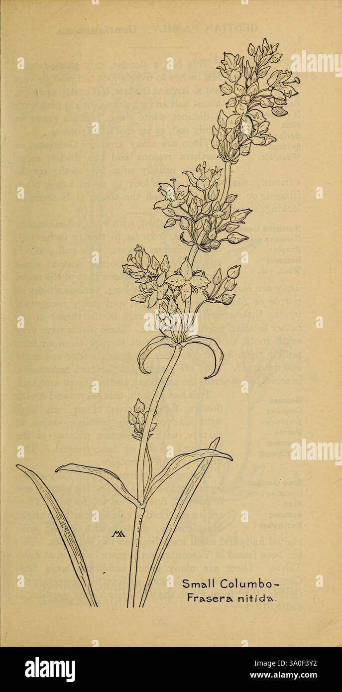 Small Columbo Field book of western wild flowers, New York, 1915, identification ...