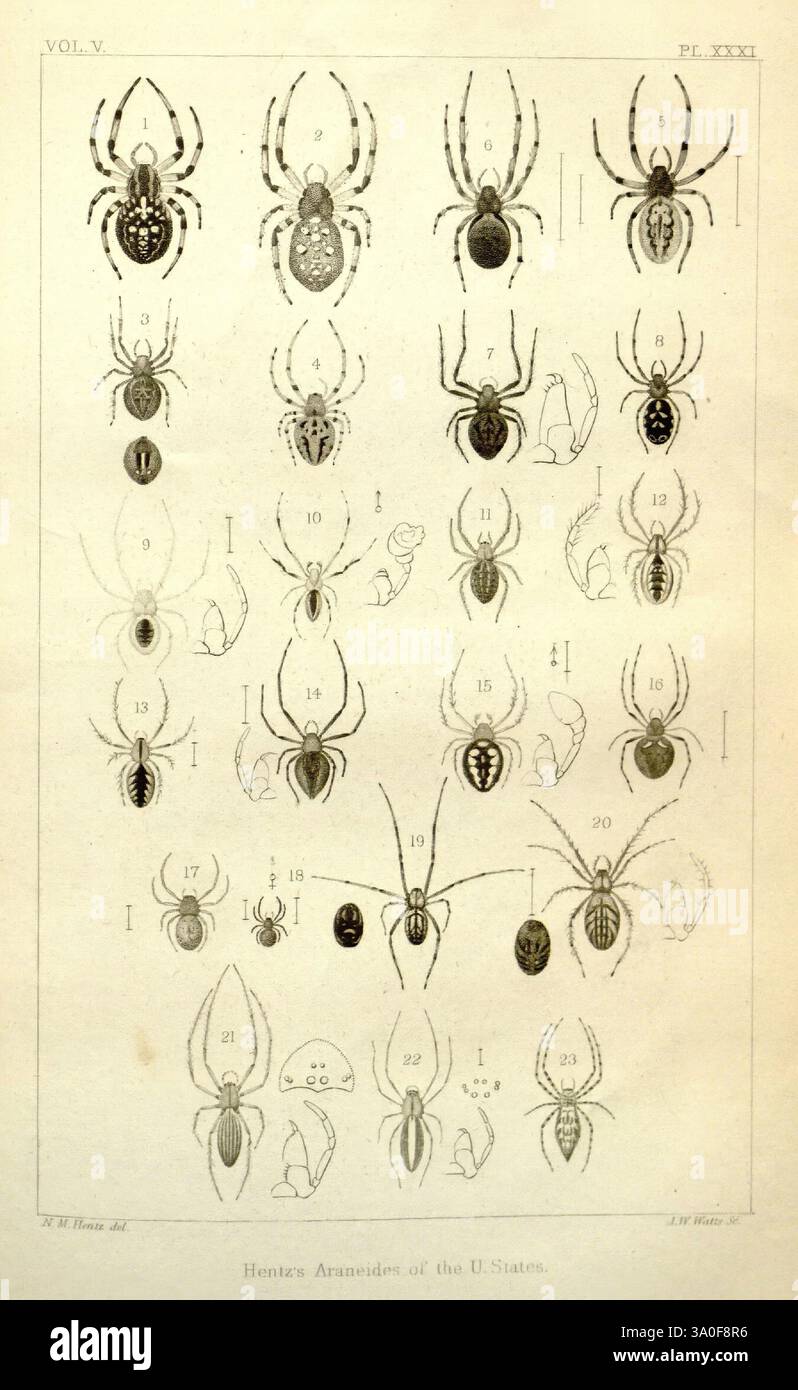 Boston journal of natural history. Boston, Boston Society of Natural ...