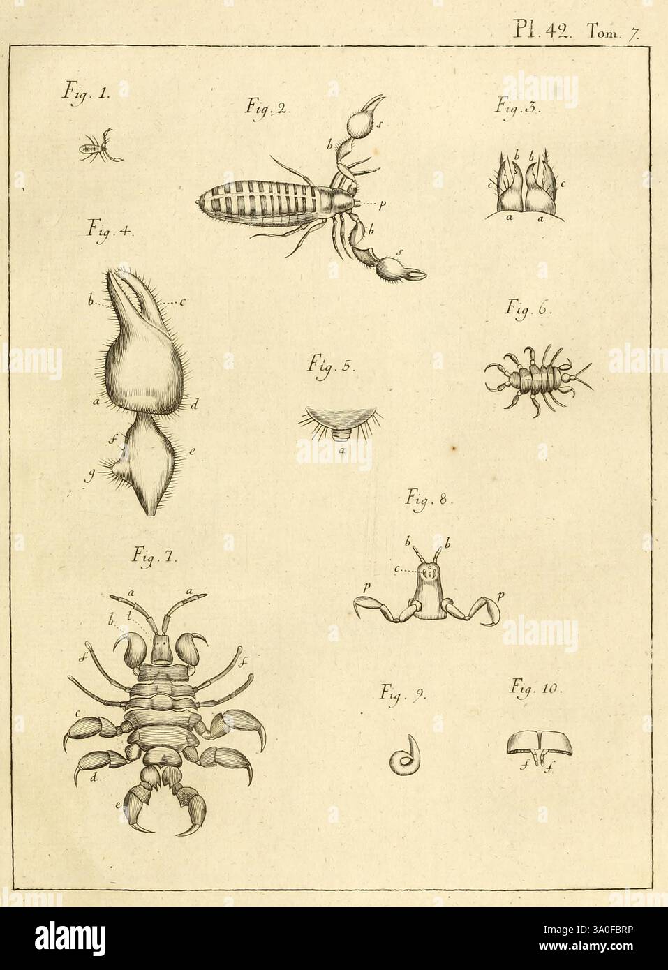 Series of detailed sketches of various marine hi-res stock photography ...