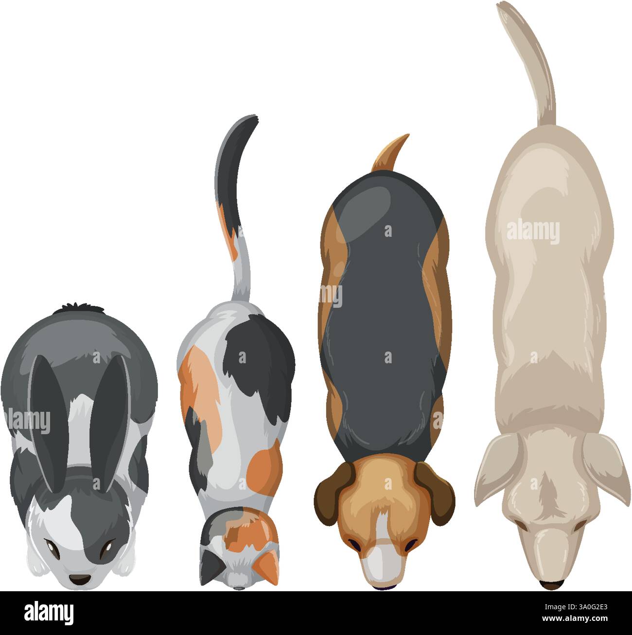 Illustration of rabbit, cat, dog, and another dog Stock Vector Image ...
