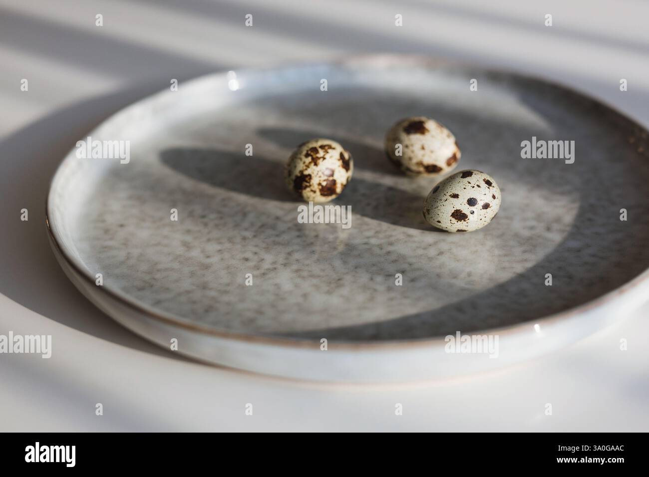 Three quail eggs on a plate in morning light Stock Photo