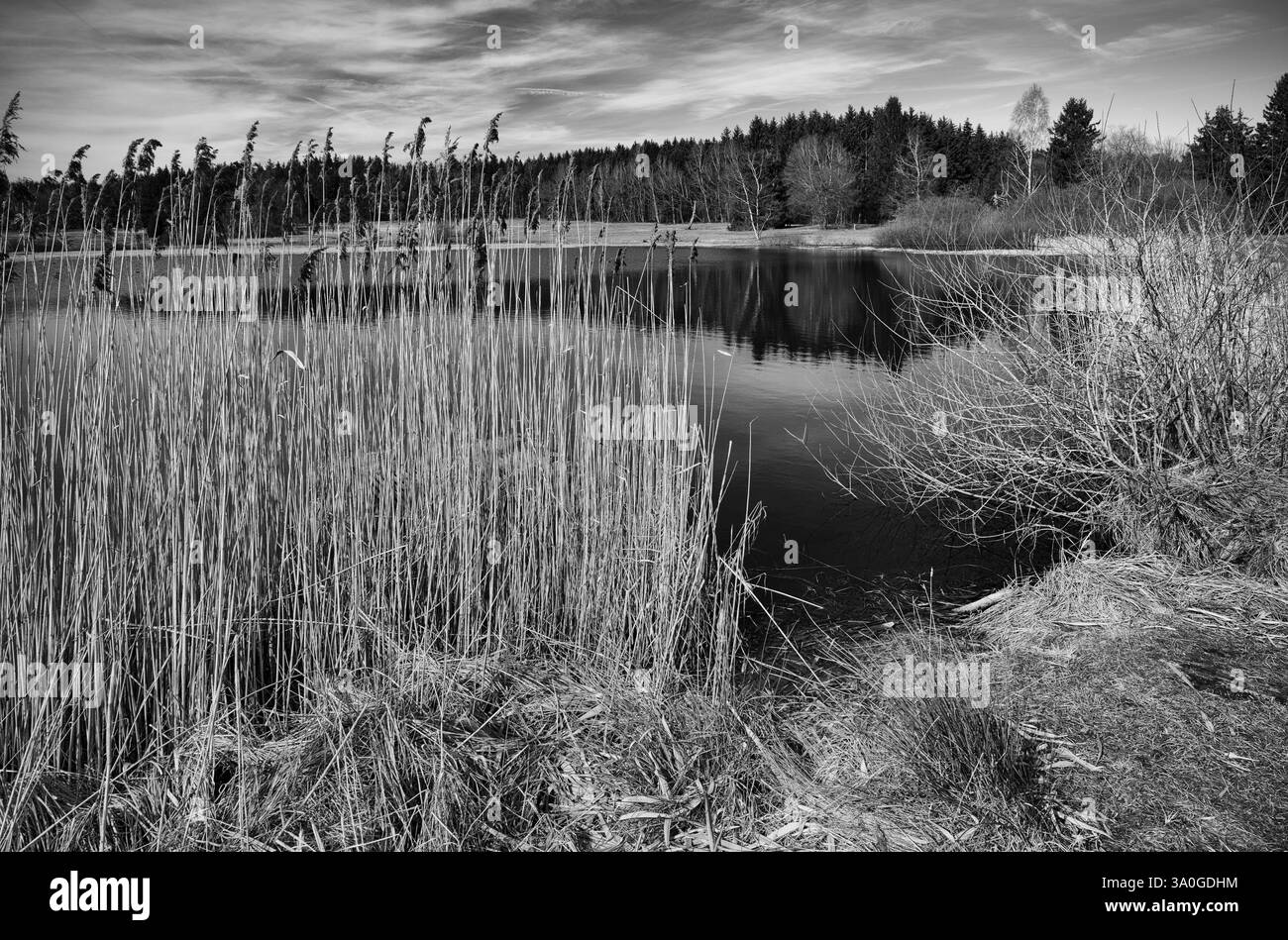 Open marsh land Black and White Stock Photos & Images - Alamy