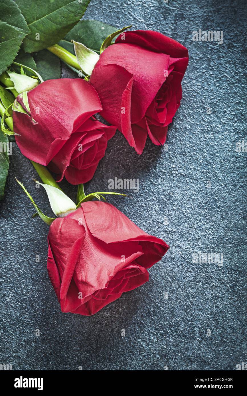 Bunch of expanded red roses on black background holidays concept Stock ...