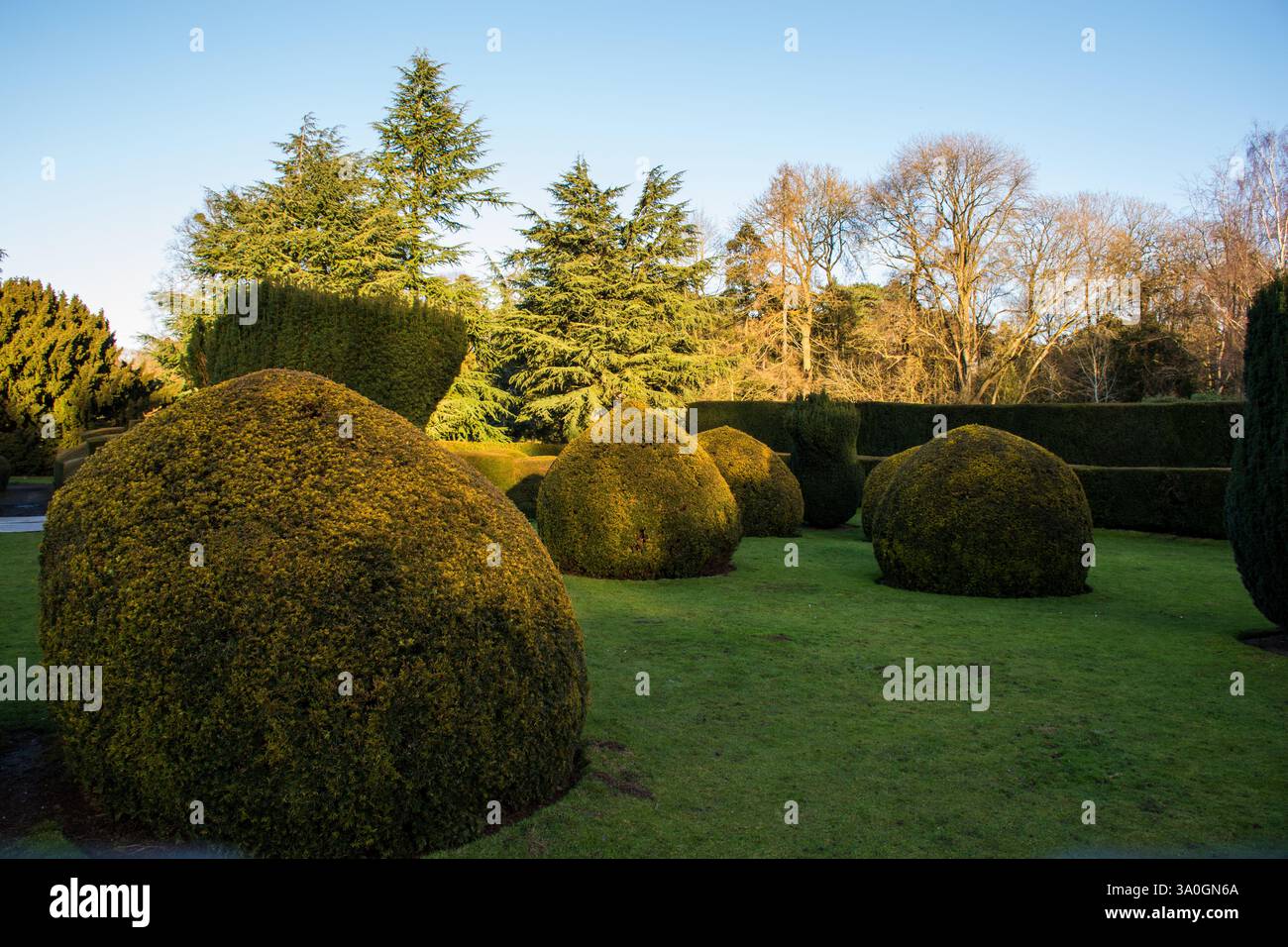 Exploring a beautiful garden with topiary at Alvaston Castle near Derby ...
