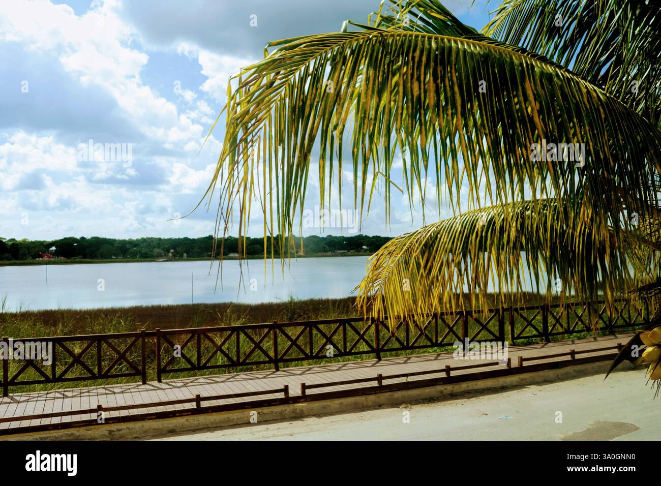 Exploring the countryside in Yucatan, Mexico Stock Photo - Alamy