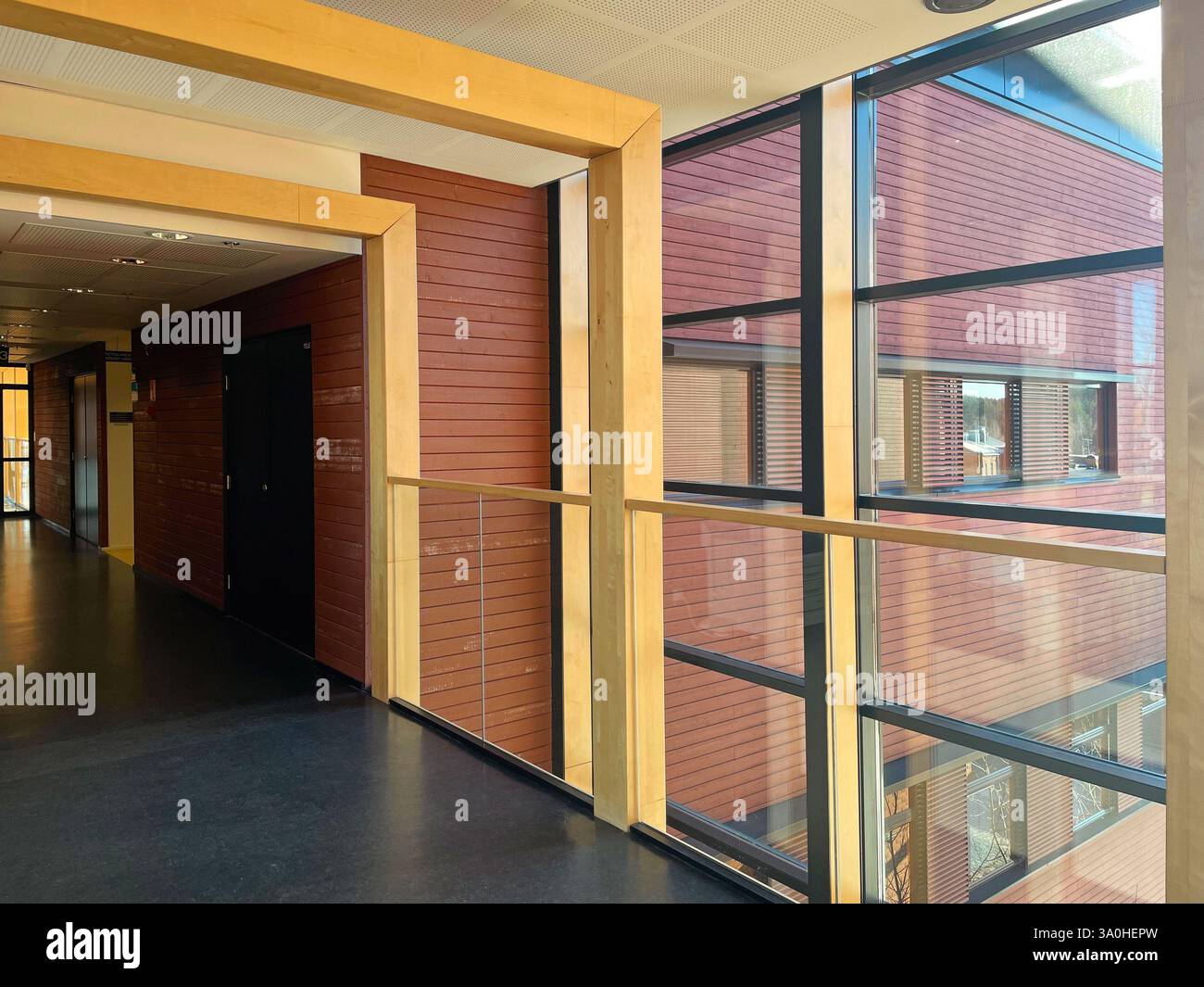 Empty office corridor with glass walls Stock Photo