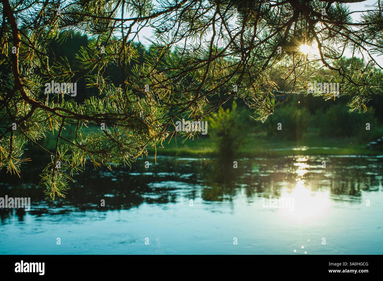 A peaceful river reflects dense green trees and the clear blue sky ...