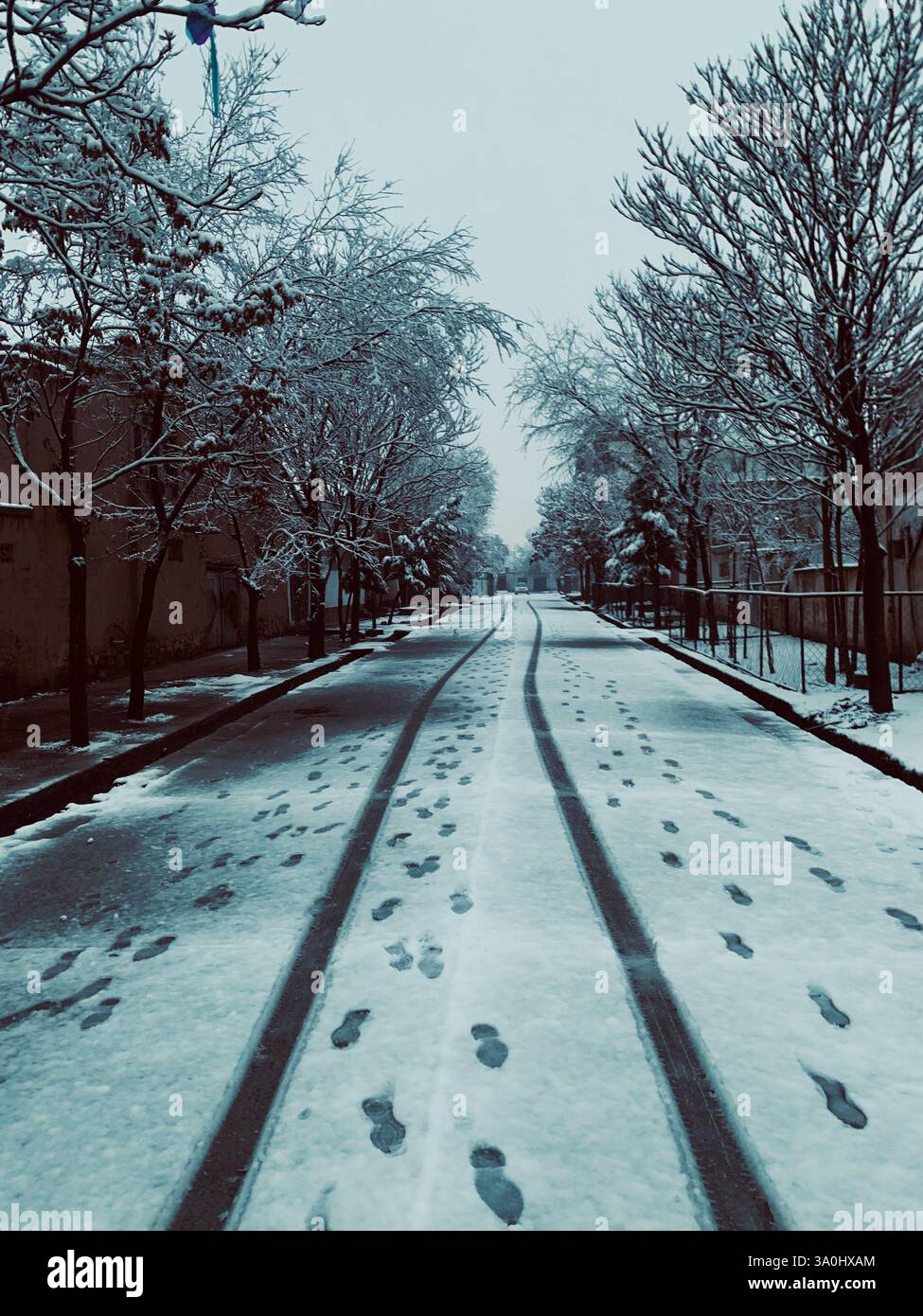Lush green farmland with towering mountains in the background and a snow-covered pathway, Afghanistan. - Smartphone Captured Stock Image