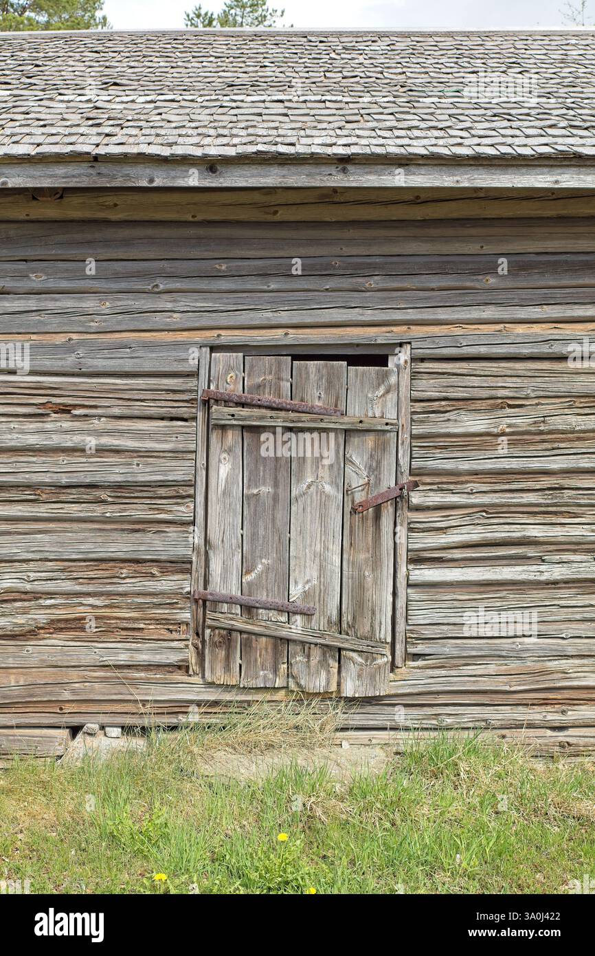 Weathered closed wooden door on an old log building, Finland. Stock Photo