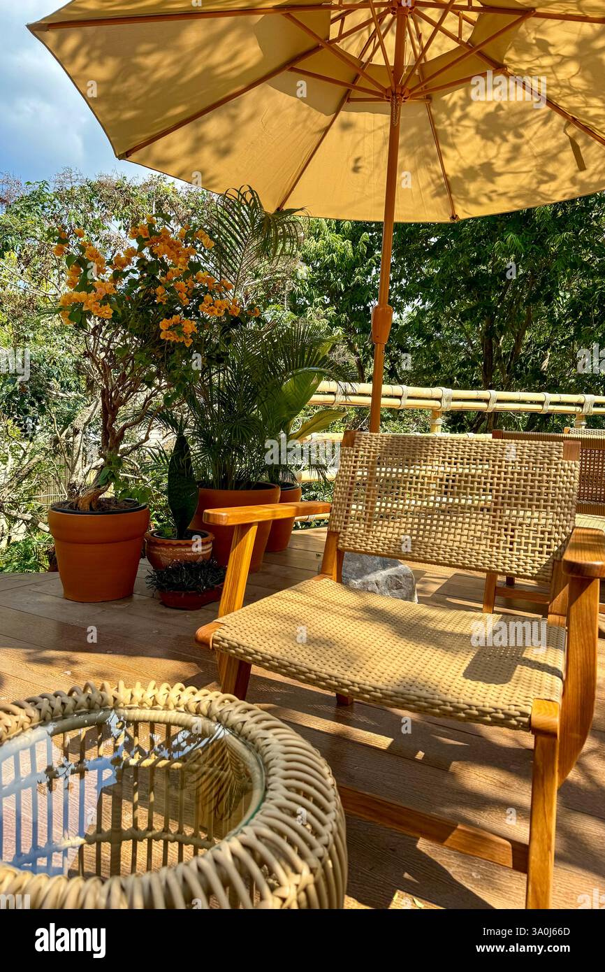 Cozy Outdoor Seating in a Tropical Garden 3 A beautifully arranged outdoor seating area with rattan furniture surrounded by lush greenery. Sunlight fi - Smartphone Captured Stock Image