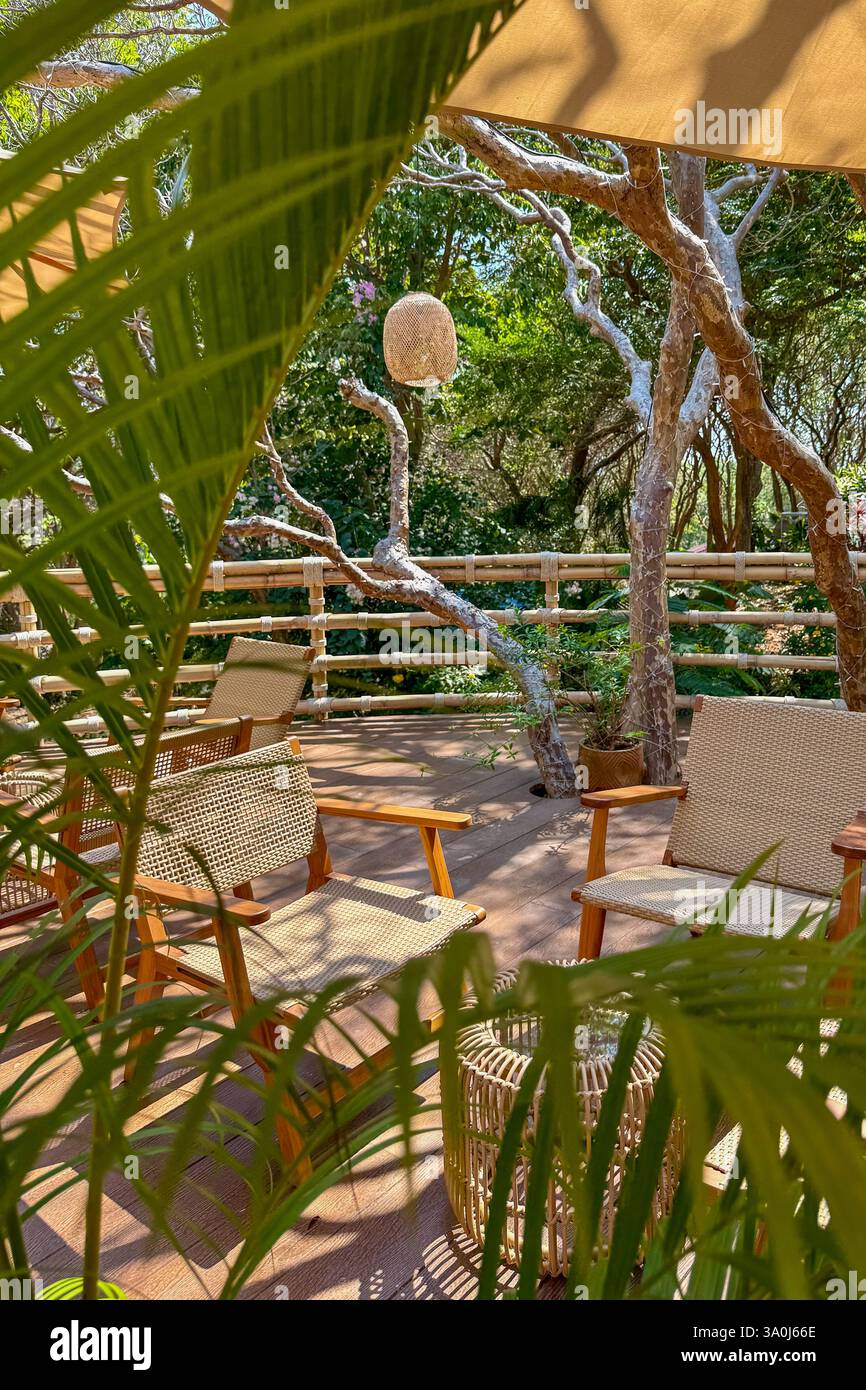 Cozy Outdoor Seating in a Tropical Garden 2 A beautifully arranged outdoor seating area with rattan furniture surrounded by lush greenery. Sunlight fi - Smartphone Captured Stock Image