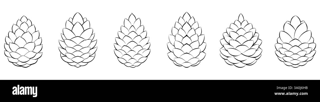 Pine cone icon. Set of six different fir cones isolated on white ...