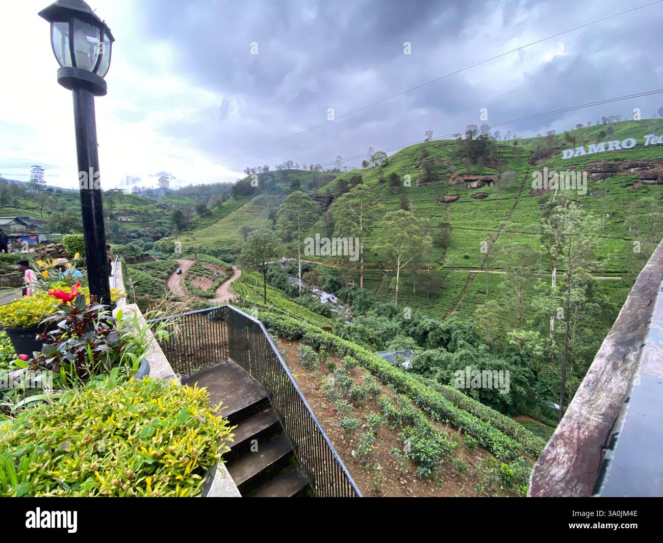 Nuwara Eliya - Smartphone Captured Stock Image