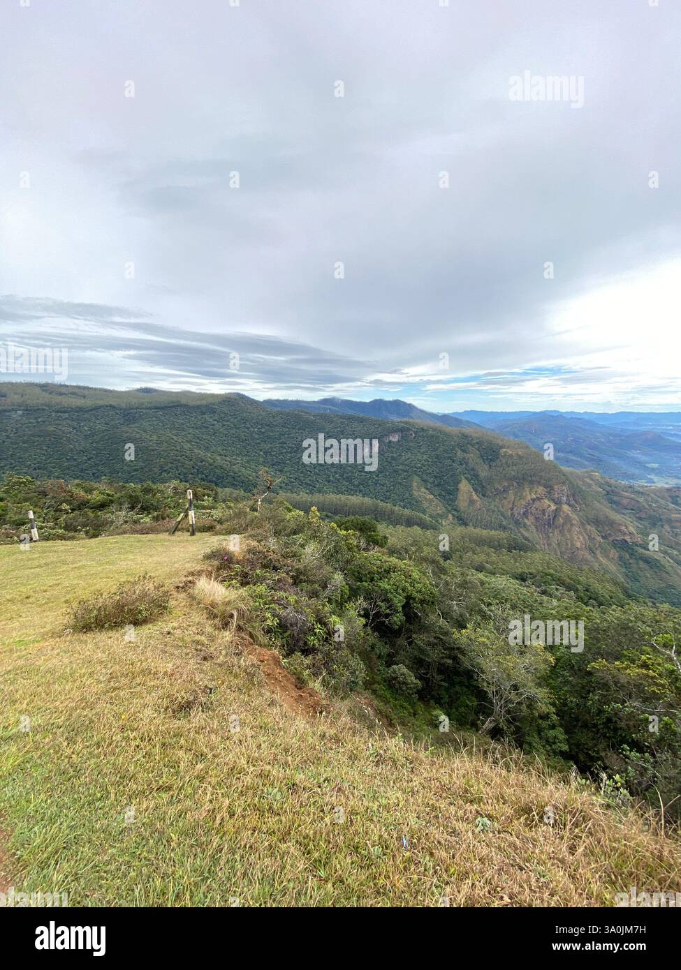 Nuwara Eliya - Smartphone Captured Stock Image