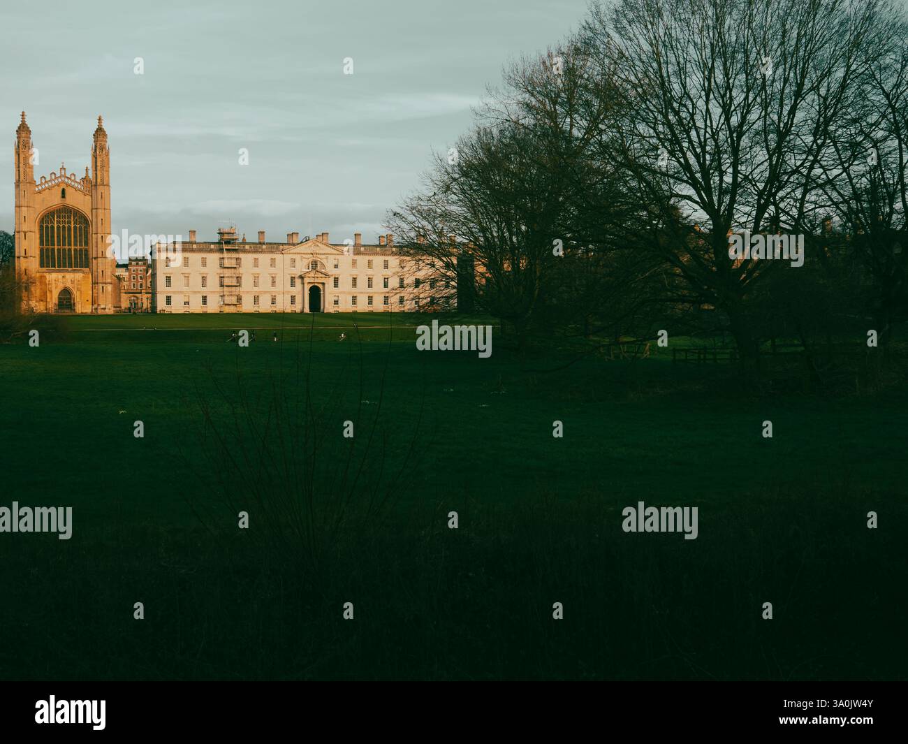 The Backs with view of Kings College Chapel, Kings College, University of Cambridge, Cambridge, Cambridgeshire, England, UK, GB. Stock Photo