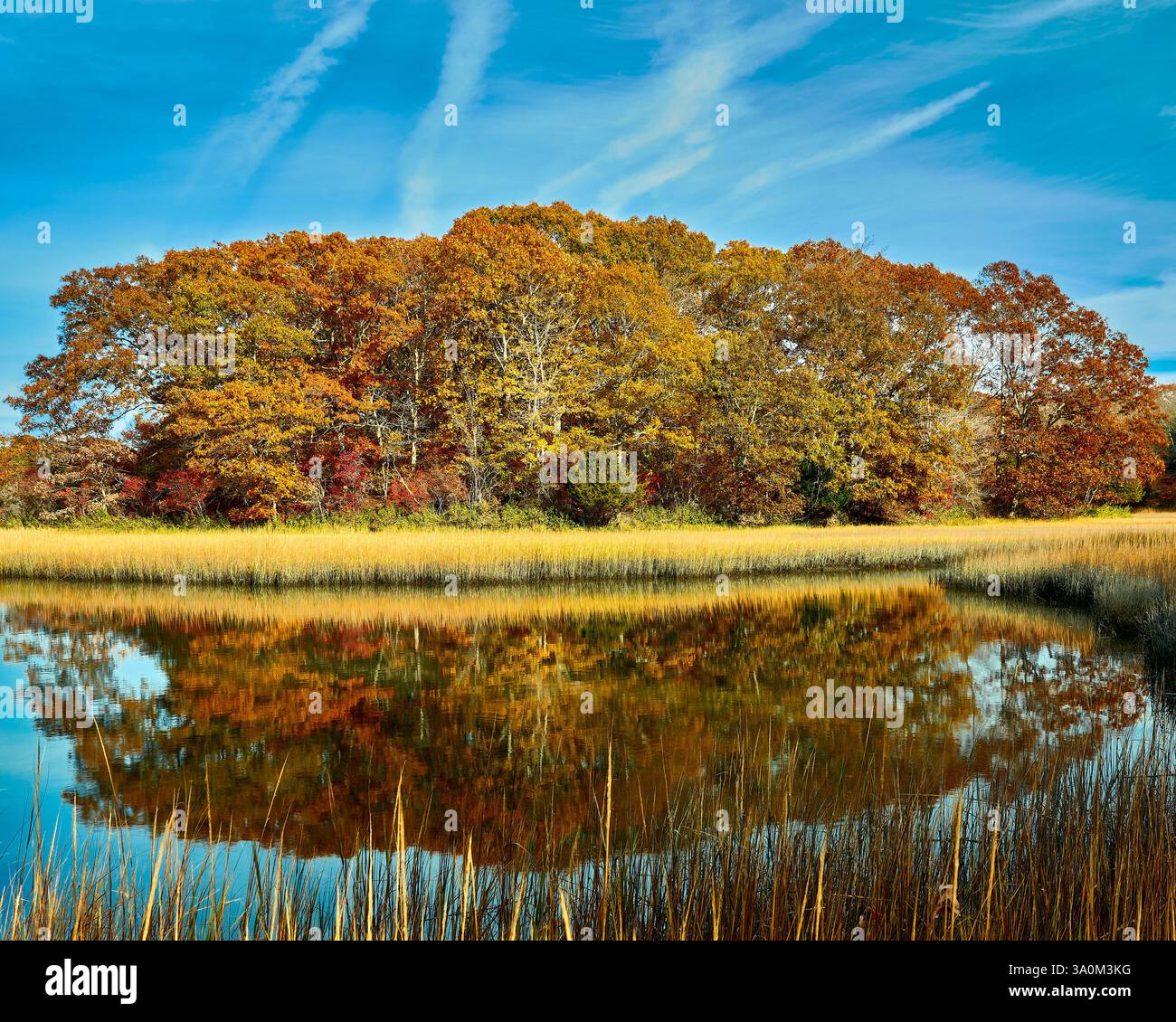Golden autumn colors mirror hi-res stock photography and images - Alamy