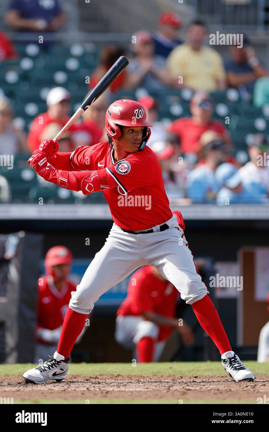 JUPITER, FL - MARCH 01: Washington Nationals designated hitter Jorgelys ...