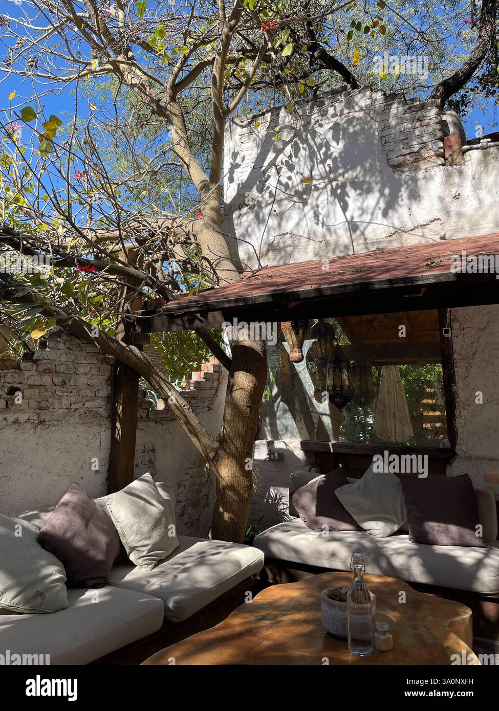 Sunlit patio with rustic brick white walls, wooden seating with cushions, and tree shade Stock Photo