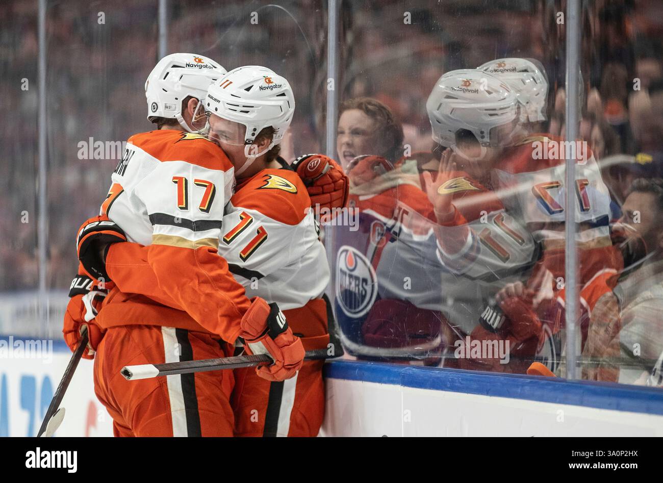 Anaheim Ducks' Alex Killorn (17) and Trevor Zegras (11) celebrate a ...