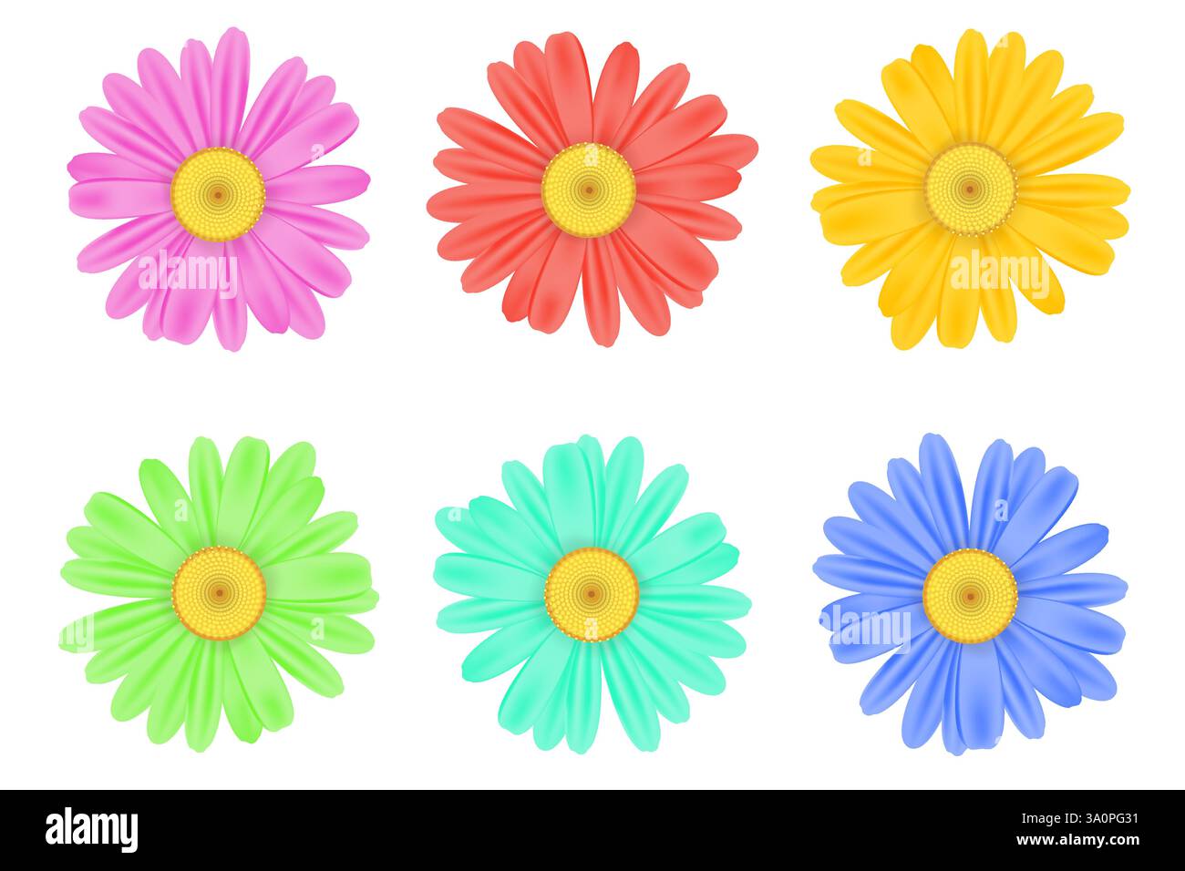 Realistic chamomile daisy flower icon collection Stock Vector Image ...
