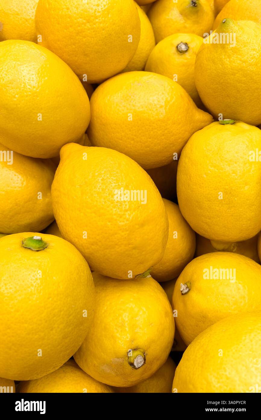 A close-up of juicy bright yellow lemons lying tightly next to each other. Stock Photo