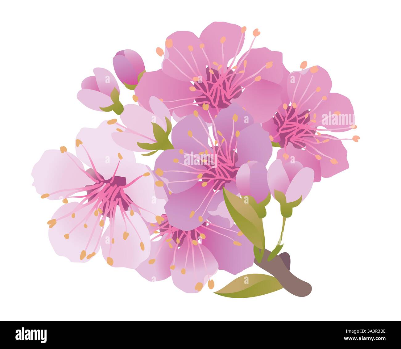 Tree branches on clear Stock Vector Images - Alamy