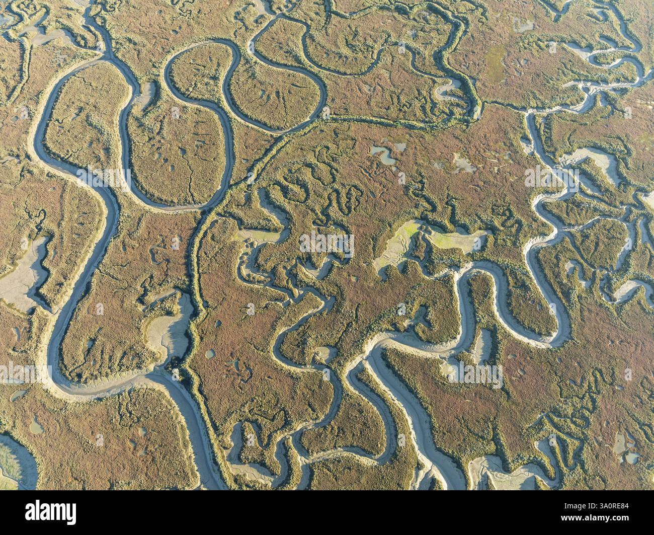 Network of channels and streams at low tide. In the marshland of Isla Cristina. Aerial view. Drone shot. Huelva province, Andalusia, Spain, Europe Stock Photo