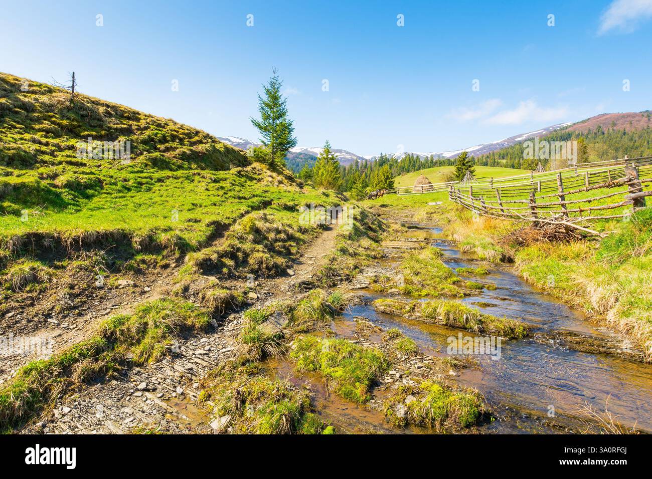 countryside scenery of ukraine in spring. natural environment. sunny morning. mountainous rural landscape with grassy field on a hill behind fence. br Stock Photo