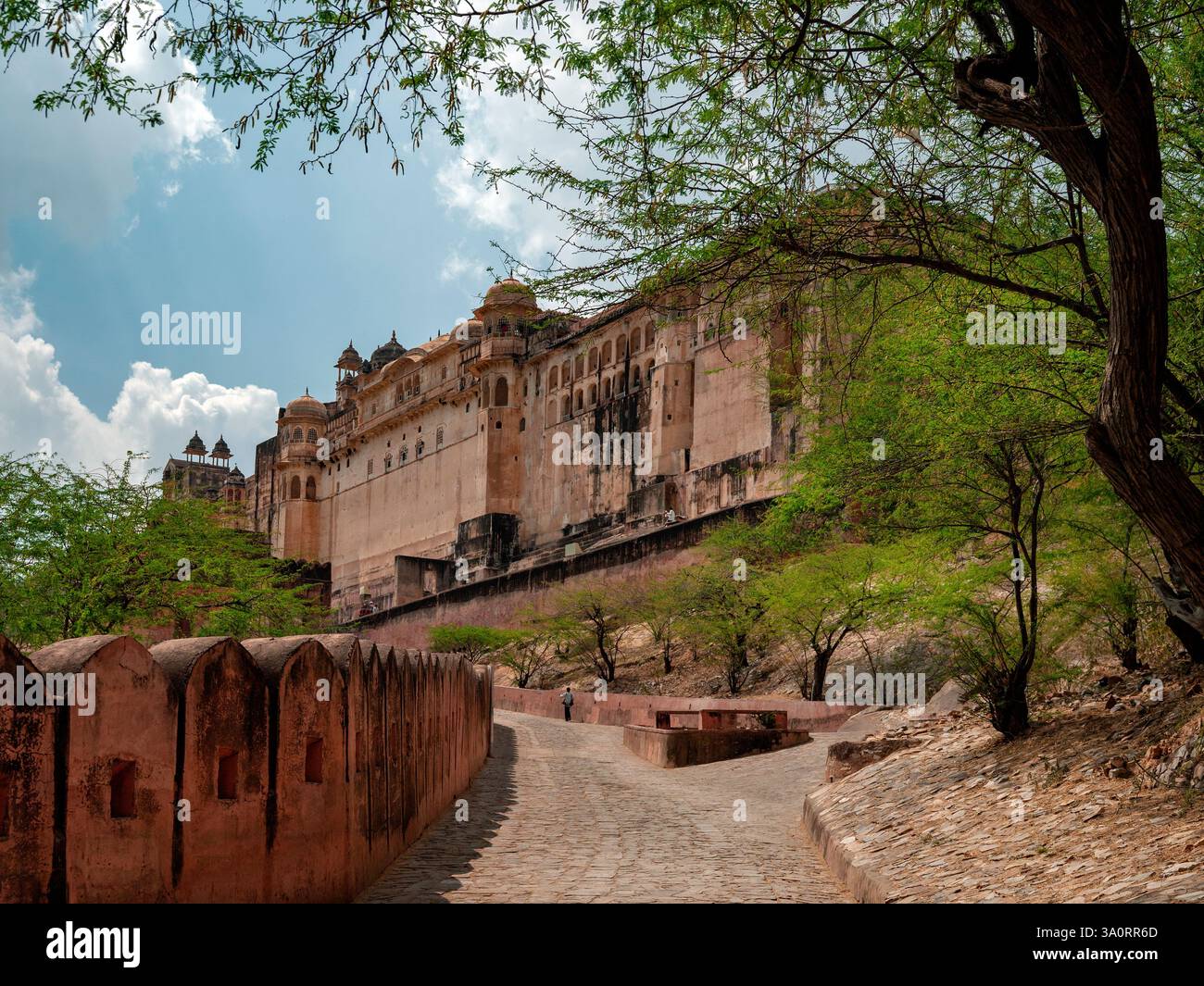 Amer fort jaipur hi-res stock photography and images - Alamy