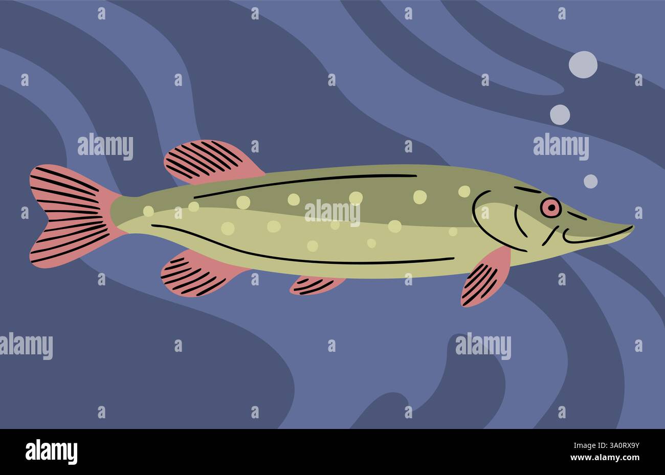 Wetland predatory Stock Vector Images - Alamy