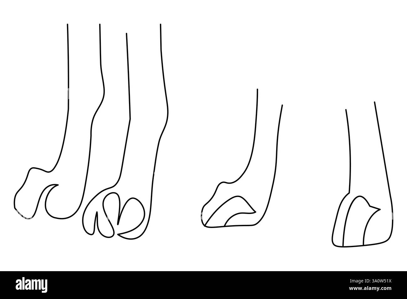 Dog paw continuous one line art and isolated outline vector ...
