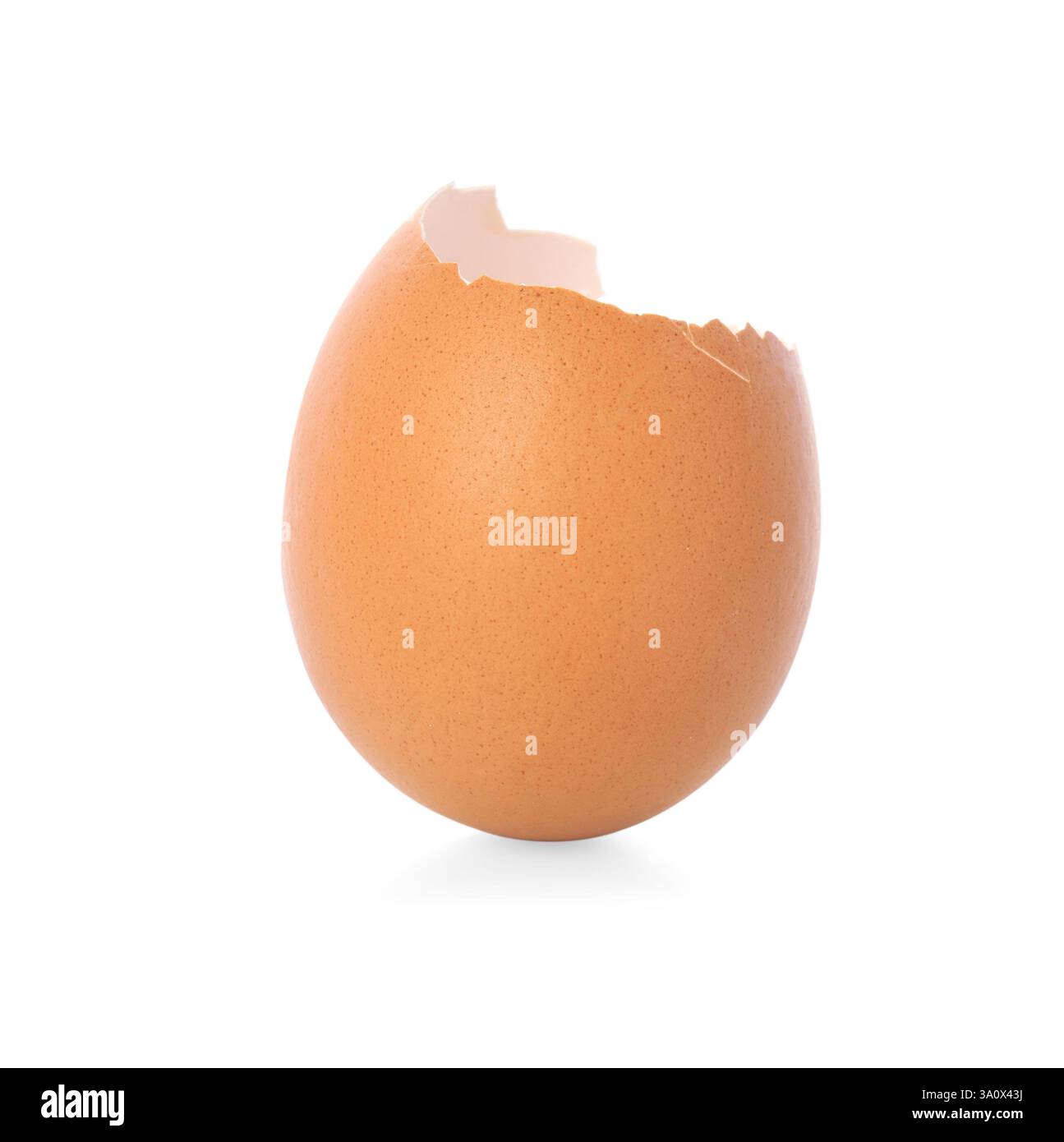 One piece of broken eggshell on mirror surface against white background Stock Photo