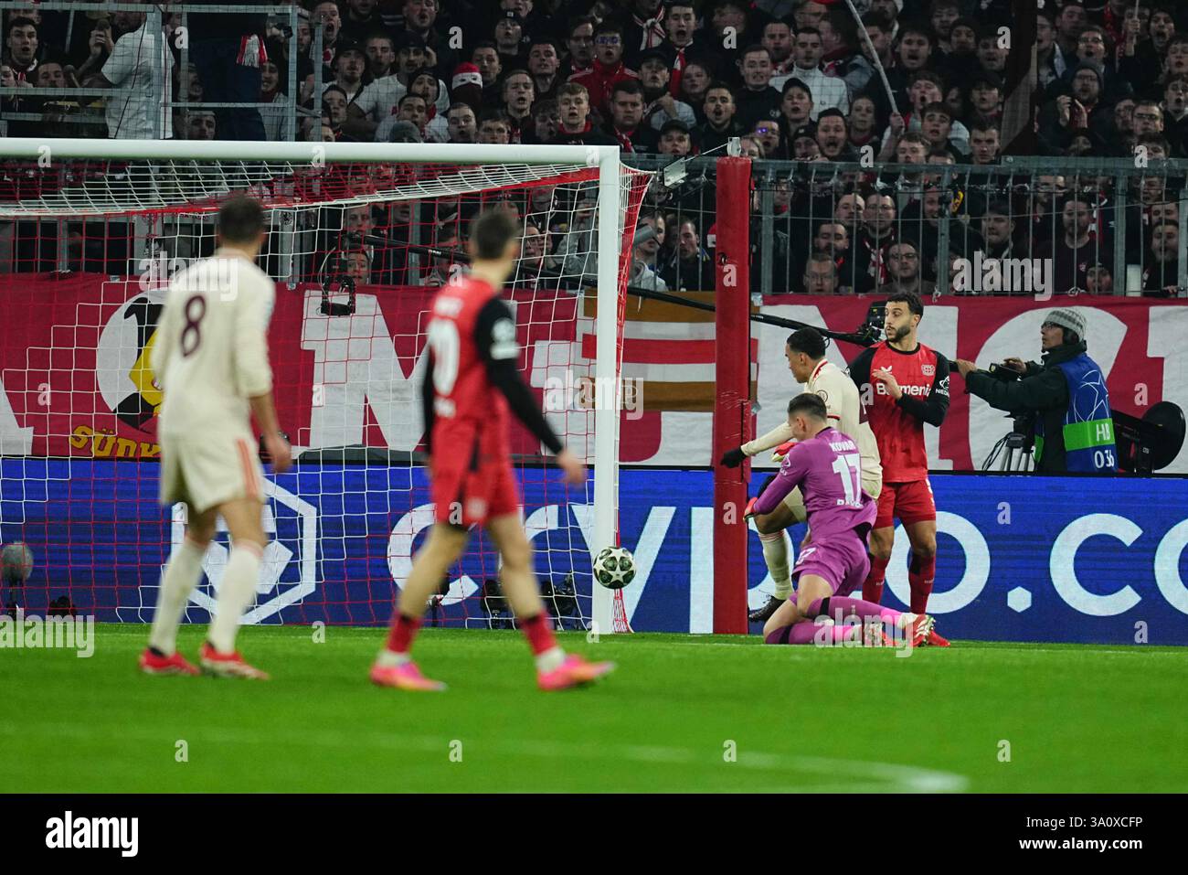 Dynamic Musiala & Kane Score As Bayern End Psv's Champions League Hopes Background in HD Dynamic Musiala & Kane Score As Bayern End Psv's Champions League Hopes Background in HD