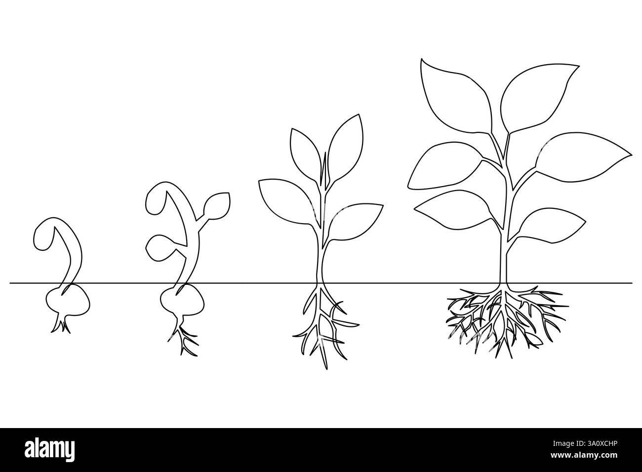 Growth plant tree drawing single line art from line vector art isolated ...