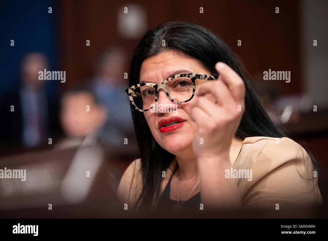 Rep. Rashida Tlaib (D-Mich.) speaks during a House Oversight and ...