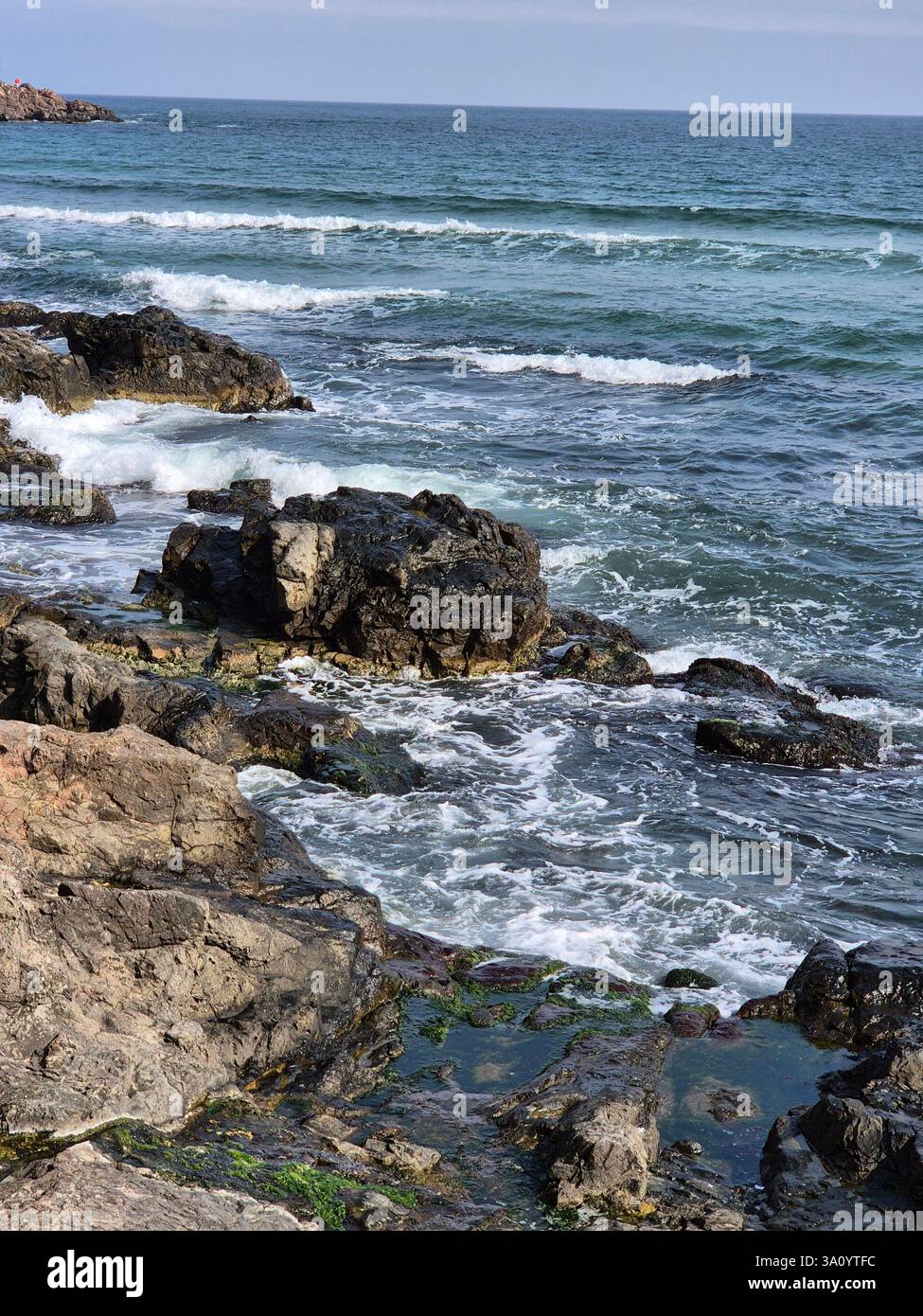 seashore. raging waves. cold sea. waves sometimes hit rocks - Smartphone Captured Stock Image