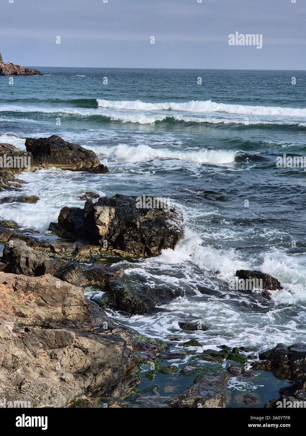 seashore. raging waves. cold sea. waves sometimes hit rocks - Smartphone Captured Stock Image